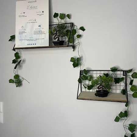 Airpoint Renovated Apartment *